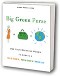 recommended-read-of-an-extraordinary-jane-big-green-purse
